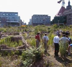 Die "Loch zu"-Aktion 2003 (Foto: Stadt Brandenburg an der Havel, FG Denkmalschutz)