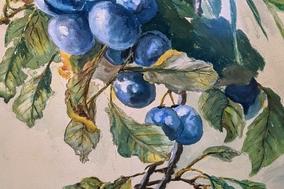 Aktuelle Sonderausstellungen