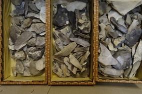 Virtueller Rundgang 5 – Steinzeit im Stadtmuseum