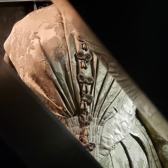 Ein Seidenkleid aus dem 19. Jahrundert ist in der Wunderkammer versteckt.