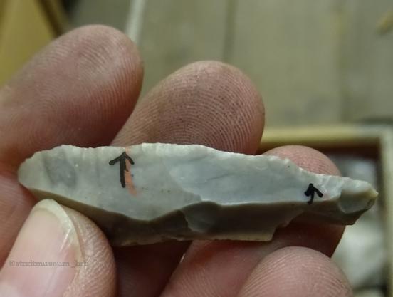 Jungsteinzeitliche Klinge mit sehr feiner Retusche - Teil einer Sichel mit Feuersteineinsätzen