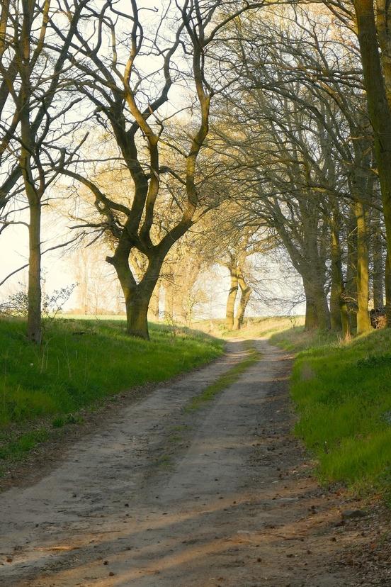 Weg von oder nach Brandenburg an der Havel